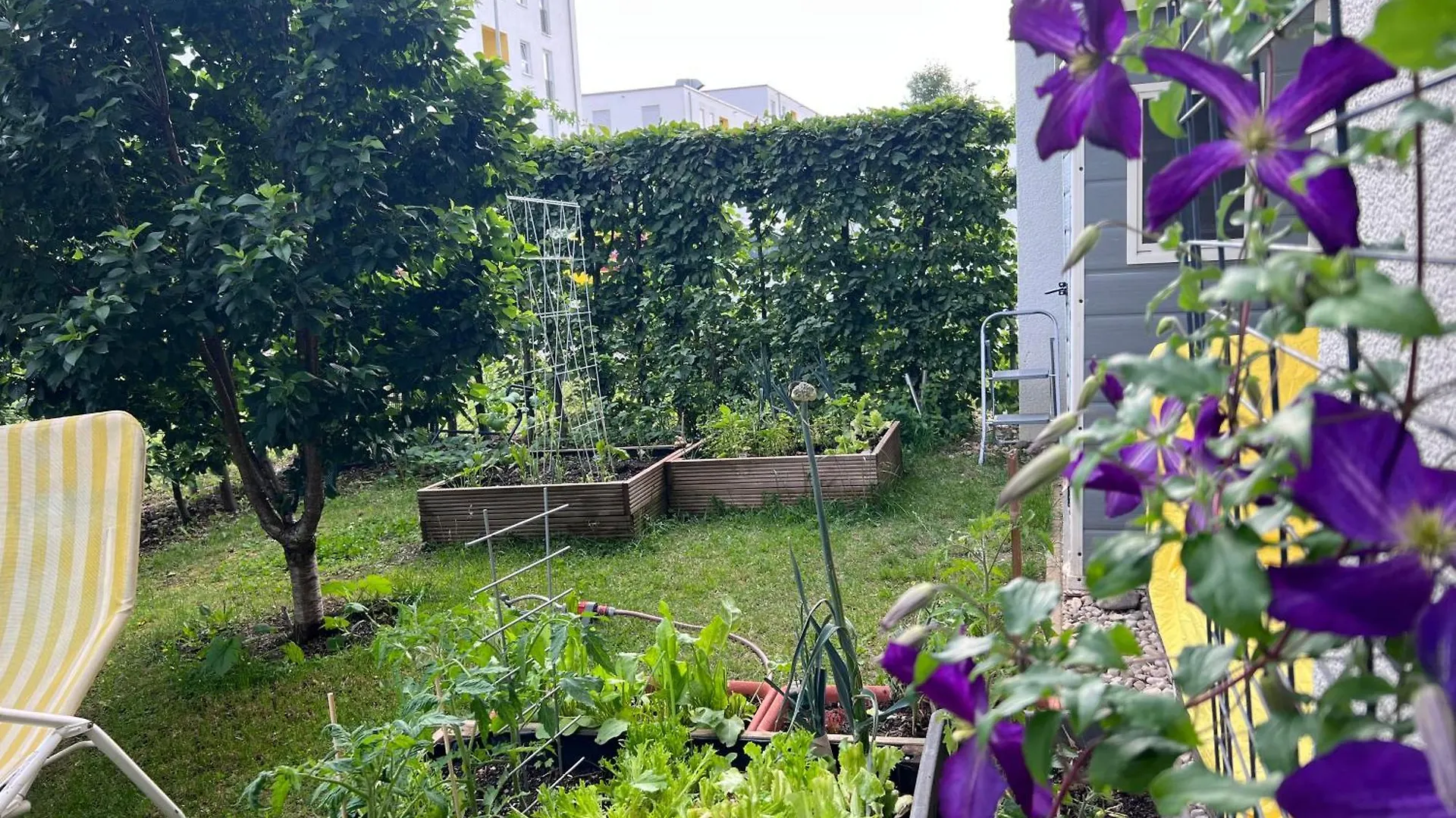 アパート Bright New Studio 43M2 With A Beautiful Garden ミュンヘン ドイツ